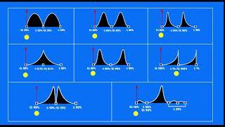 Graph Training Keyframe Academy