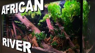 'African river' aquarium biotope for reedfish - making of - Oase HighLine 400