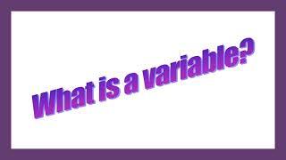 What are variables in programming?