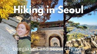 Climbing Baegaksan and the Seoul City Wall | Life in Korea VLOG (Bugaksan Hiking)