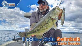 La scelta del COLORE della SWIMBAIT con Carlo Scotto e Andrea Corradi di Gan Craft