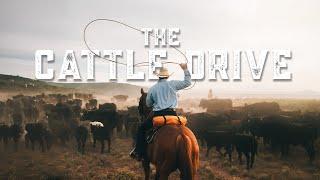 The Cattle Drive, Episode 29