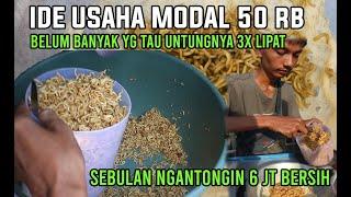 IDE USAHA MINIM PESAING BARU 2024 || MUDAH CARA BUATNYA Modal 50 RIBU SEBULAN NGANTONGIN 6JT BERSIH