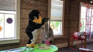 Jiji Loves the Wind Tunnel at Lynn Meadows Discovery Center