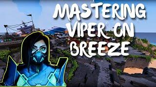 Beginner Viper Guide for BREEZE