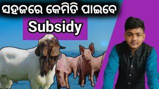 How to get subsidy easily in apicol #farming in odisha #goatfarming #pigfarming