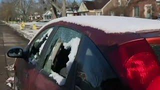 Cars shot up with BB guns in Harper Woods