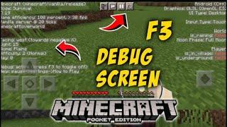 F-3 Debug Screen Addon For Minecraft PE