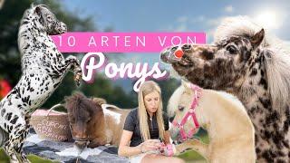 10 Arten von Ponys