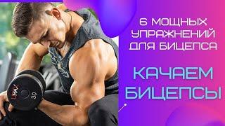 Качаем Бицепсы - 6 упражнения для тренировки БИЦЕПСОВ