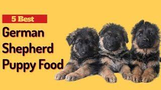 5 Best Dog Food for German Shepherd Puppy | German Shepherd Puppy Food.