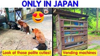 51 Photos That Prove That Japan Is Unlike Any Other Country (PART 2) - funny photos