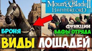 Mount and Blade 2: Bannerlord-ВИДЫ ЛОШАДЕЙ! БРОНЯ! ФУНКЦИИ! БАФЫ! ЕЖЕНЕДЕЛЬНЫЙ БЛОГ!