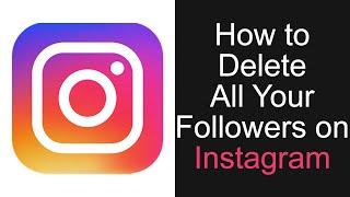How to Delete All Your Followers on Instagram!