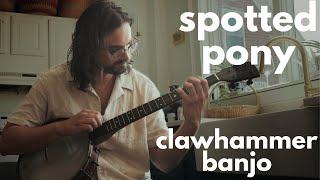 Spotted Pony // Clawhammer Banjo