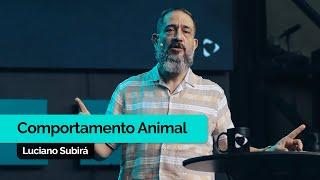 Comportamento Animal | Luciano Subirá
