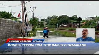  Kondisi Terkini Tiga Titik Banjir di Semarang | LIVE TRIBUN JATENG UPDATE