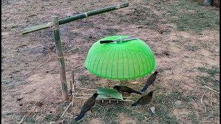 TR Technology: Easy bird trap making from bamboo and basket working 100%