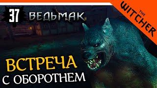 ОБОРОТЕНЬ НА ПУТИ У ВЕДЬМАКА ► The Witcher 1 (Ведьмак 1) Прохождение на русском