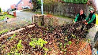 The OWNER wanted to TRANSFORM his FRONT YARD, so we UPROOTED and completely REMOVED everything