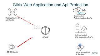 Citrix Web App and Api Protection (CWAAP) overview