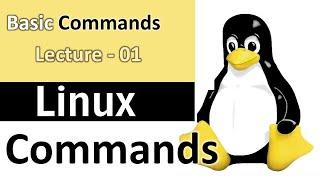 Basic Linux Commands | Linux Commands for DevOps and Cloud Computing | Lecture 01 l