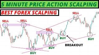 5 Minute Price Action Scalping Trading Strategy | Best Forex Scalping Strategy