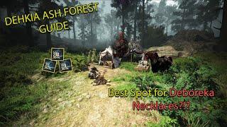 Black Desert Online | Dehkia Ash Forest Grind Zone Guide