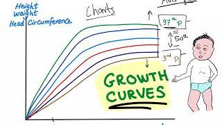 Growth Charts/ Percentile Curves; Are You Tall Or Short?