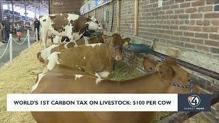 World's first carbon tax on livestock: $100 a cow