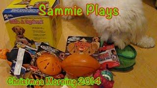 Sammie Plays Christmas Morning 2014 SP #9