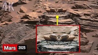 NASA Mars Rover Capture Unexpected Shocking 4K Footage of Mars Life -Perseverance Curiosity Images