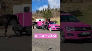 2024 RECAPPINK life, show jumping and more #shorts #horse #equestrain #recap