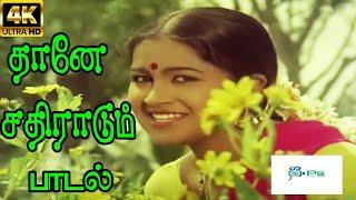 Thaane Sathiraadum  ||தானே சதிராடும் ஏனோ நதி பாடும் ||S. Janaki ,Shashirekhaa   || Love H D Song