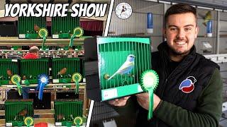 Visiting the Yorkshire British Bird & Hybrid Club Show 2024