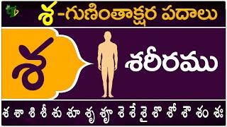 శ గుణింతాక్షర పదాలు | Sa Guninthakshara Padalu | Sa Gunintham padalu in telugu | Telugu Vanam