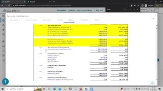 2. Annual Audit - Financial Statement generation