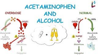 Pharmacokinetics 10: Drug metabolism-clinical scenarios #acetaminophen #paracetamol