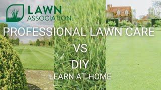 PROFESSIONAL LAWN CARE VS DIY LAWN CARE | Lawn Association