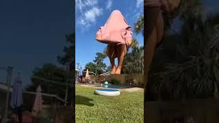 Good Gymnastic And Good Way To Jump In The Pool #shorts #shortvideos