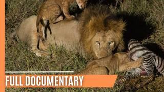 Masters of the Dark - Africa’s Top Hunters in Action | Full Documentary