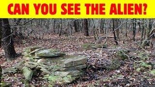 Nobody Can See All The Hidden Animals #Level 2 । Optical Illusions । Brain Teasers