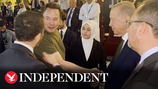 Elon Musk shakes hands with Turkish president Erdogan at World Cup final