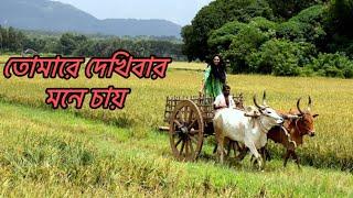 তোমারে দেখিবার মনে চায় || Tomare Dekhibar Mone Chay || Coverd By Kazal Roy ||