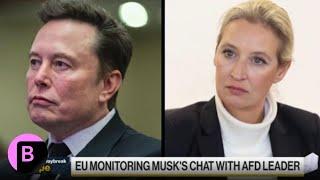 Musk's Conversation on X With AfD's Weidel: Here's What We Learned