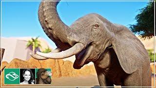  African Elephant habitat & underwater viewing | Desert Franchise Mode | Planet Zoo |