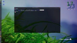 Disponible la Beta 1 de MX Linux 19 (patito feo) con XFCE 4.14.1 y base Debian Buster