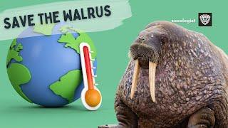 What Do Walruses Eat? | Deep Dive into the Walrus Diet & Lifestyle