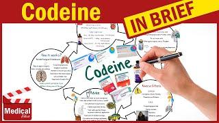 Codeine Phosphate : What is Codeine Used For? Codeine Uses, Dosage, Side Effects & Precautions