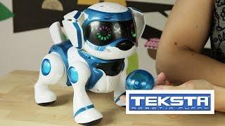 Teksta Robotic Puppy / Teksta Piesek Interaktywny